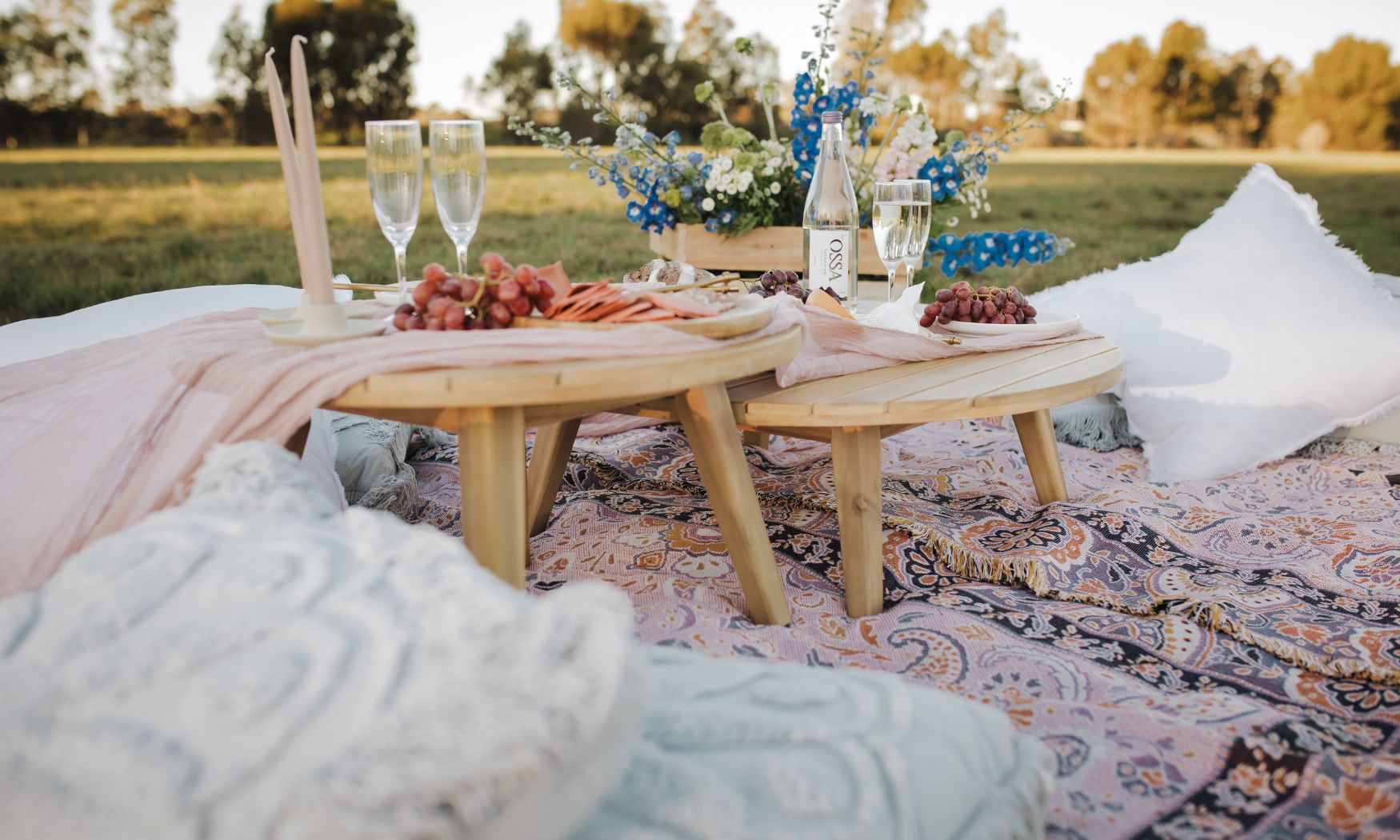 Bohemian Picnic Ideas